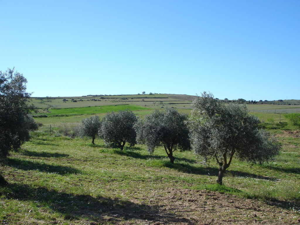 Horta Do Muro Vendégház Campo Maior Kültér fotó